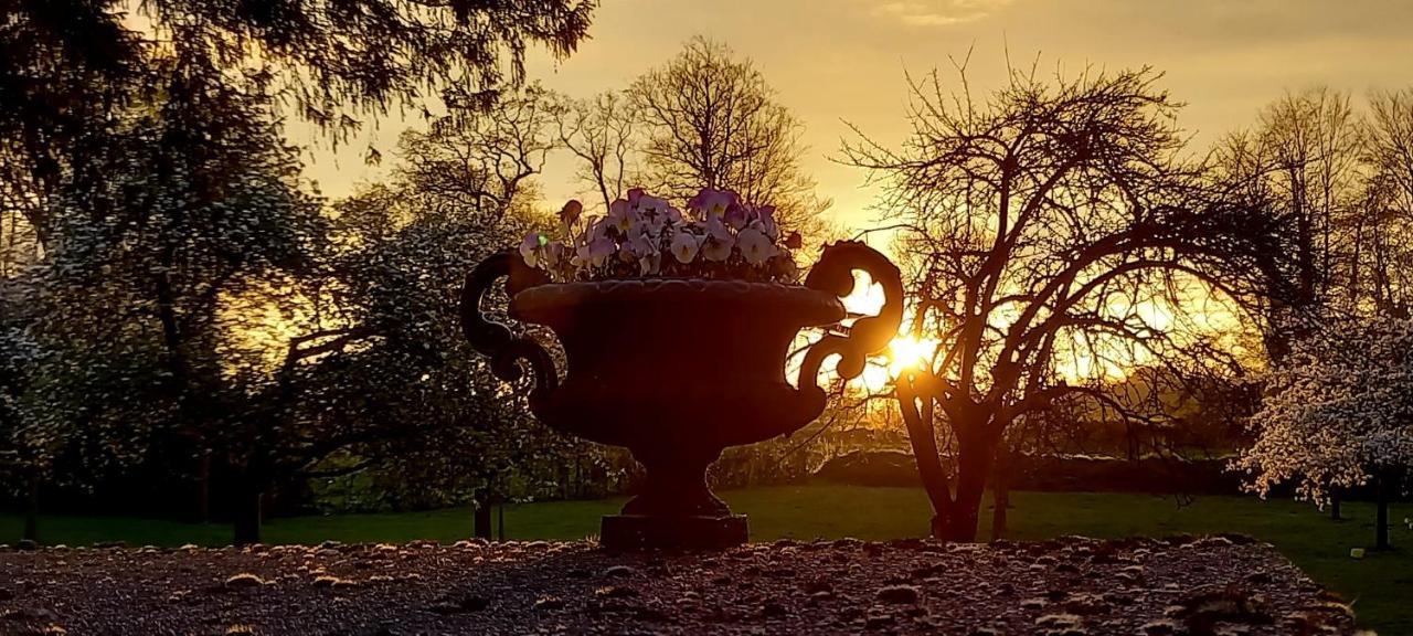 Chateau De Cleuville Dış mekan fotoğraf